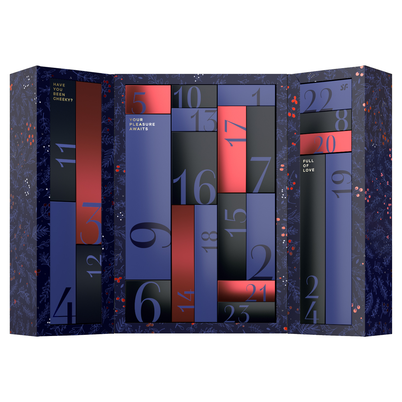 Satisfyer Advent Calendar Premium 2024